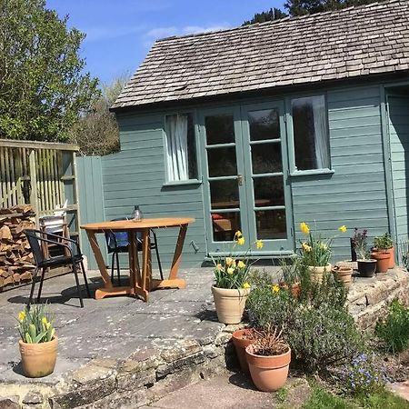 Garden Room In Hockworthy Веллингтон Экстерьер фото